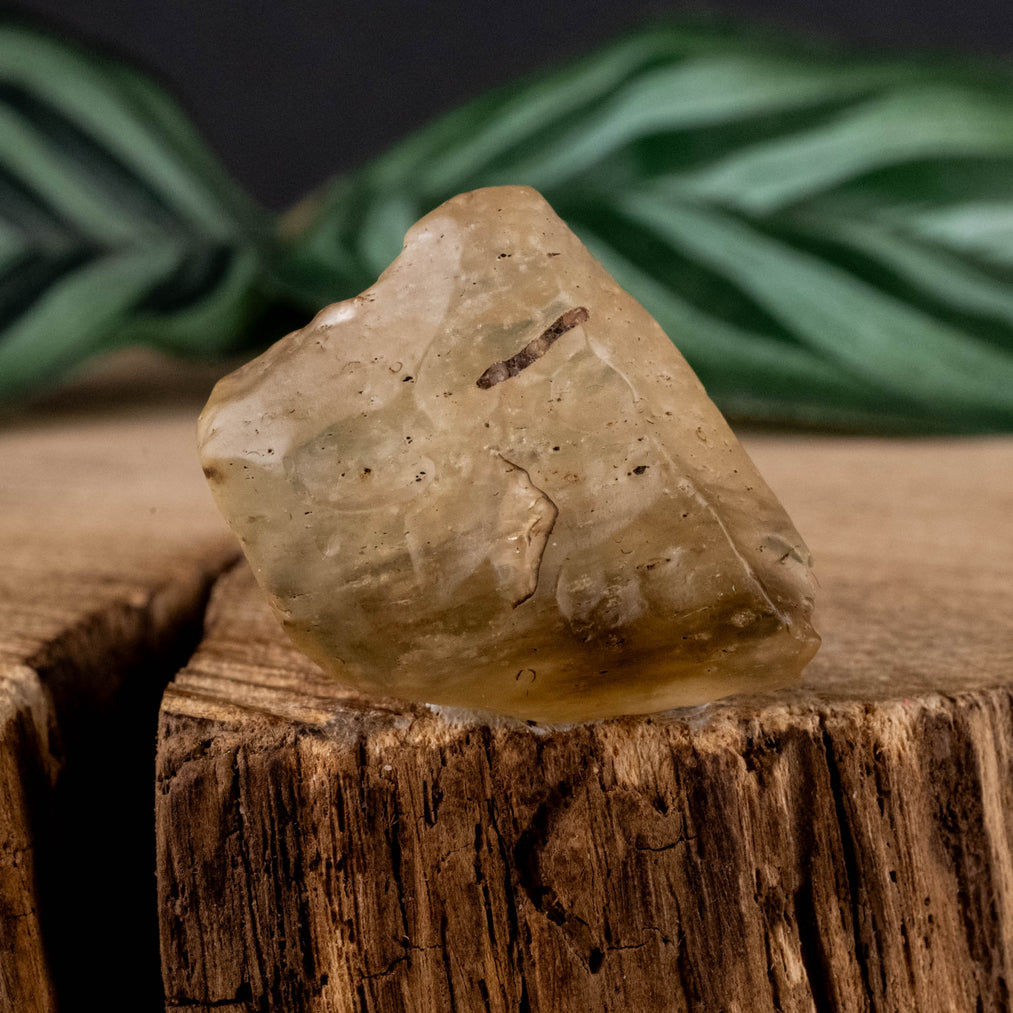 Libyan Desert Glass / Vidrio del Desierto Libio