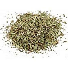 Hyssop / Hisopo