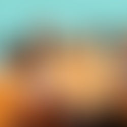 Inside Bermuda Search Party's Journey: From Q-Tip Bandits to New Horizons