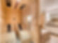 private infrared sauna