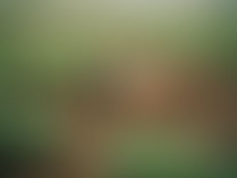 Fontes de Renda no Campo: Como Transformar Suas Habilidades em Lucro