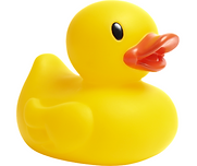 DUCK (14).png
