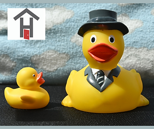 DUCK (2).png