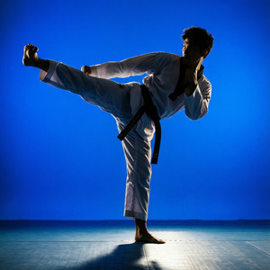 Taekwondo Mükemmellik Merkezi