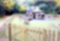 IMG-20210516-WA0013_edited.png