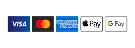 Logos Of Credit Cards Accepted at Bespoke Water, Visa, Master Card, Amex, Apple Pay, Google Pay
