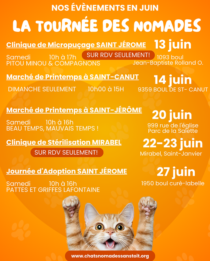 www.chatsnomadessanstoit.org (1).png