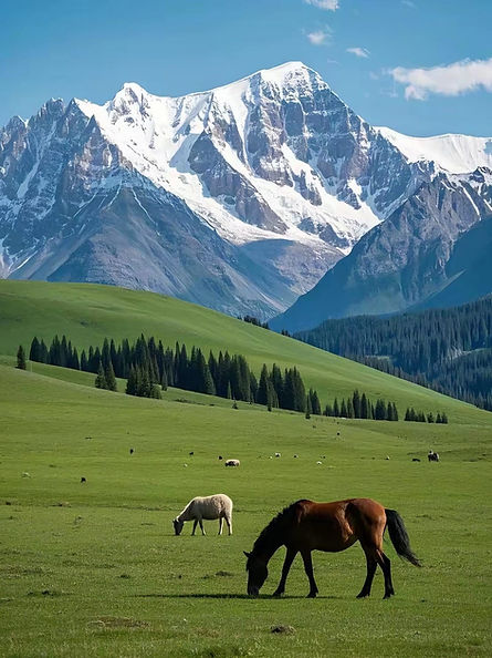 WhatsApp Image 2025-04-30 at 10.33.04 AM.jpeg