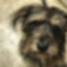 IMG_0397.jpeg