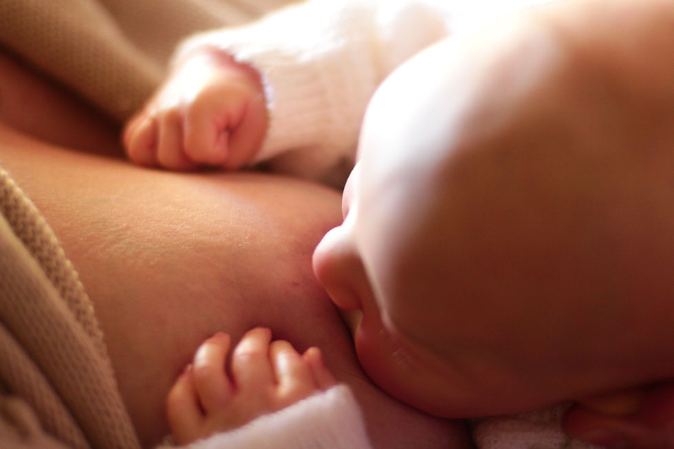 Newborn breastfeeding