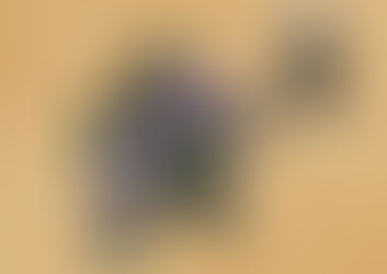 エピソード６６『世界樹 -妖精さんを仲間にするには？-』