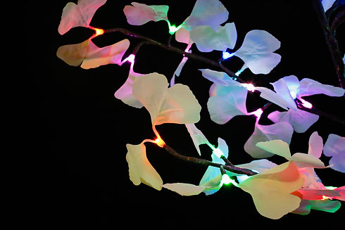 Multi.WhiteGinkgo.jpg