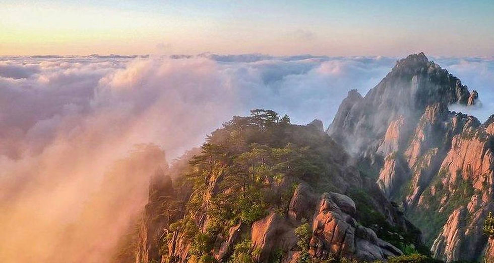 Hình thu nhỏ: Tour Thượng Hải, Ô Trấn, Hàng Châu 5 ngày, bay China Eastern