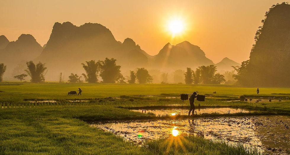 Hình thu nhỏ: Tour Việt Nam - Campuchia - Thái Lan 14ngày