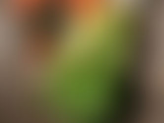 Healthy Filipino Kitchen: A Nutritional Program for Filipino Americans