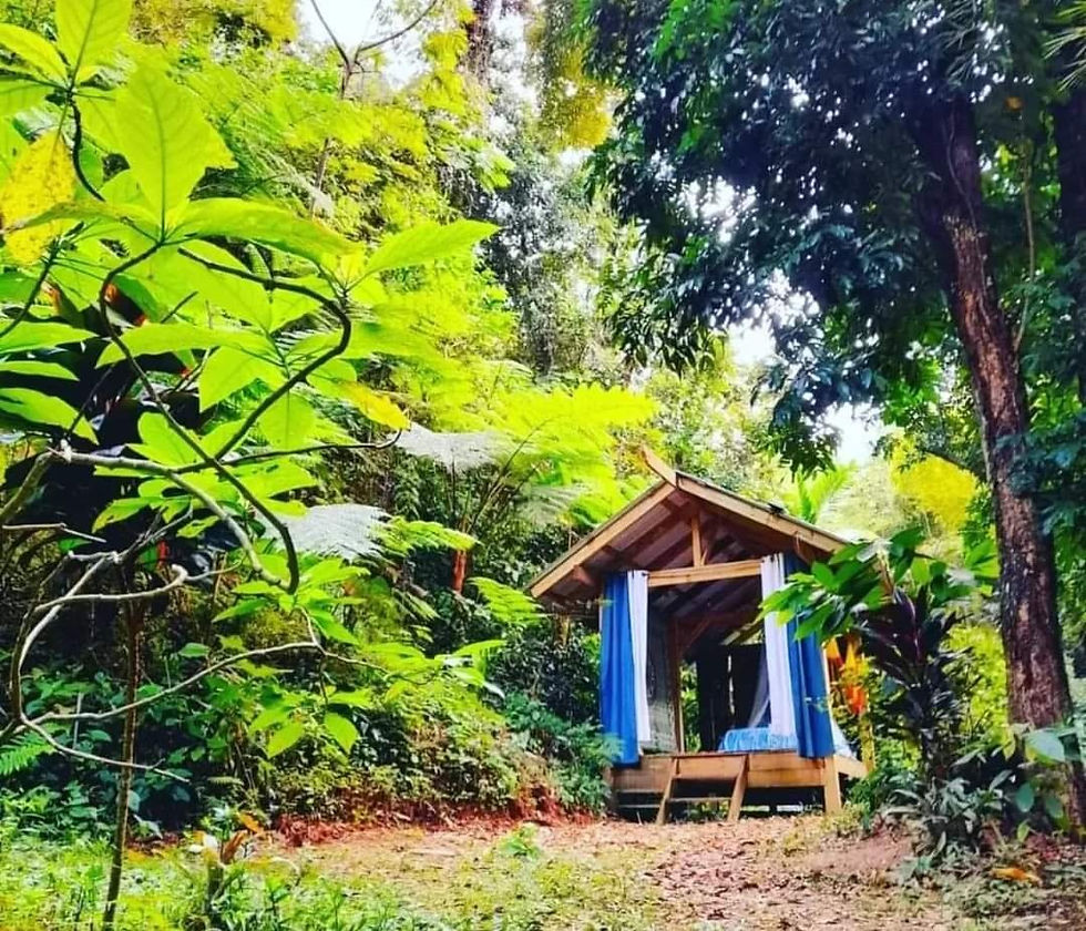 El Bohío en el bosque