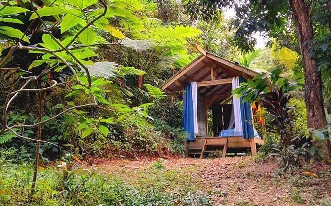 El Bohío escondido en el bosque