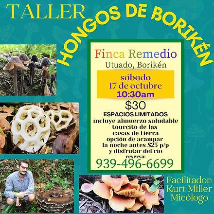 Taller Hongos de Borikén en Finca Remedio, con Kurt Miller, micólogo
