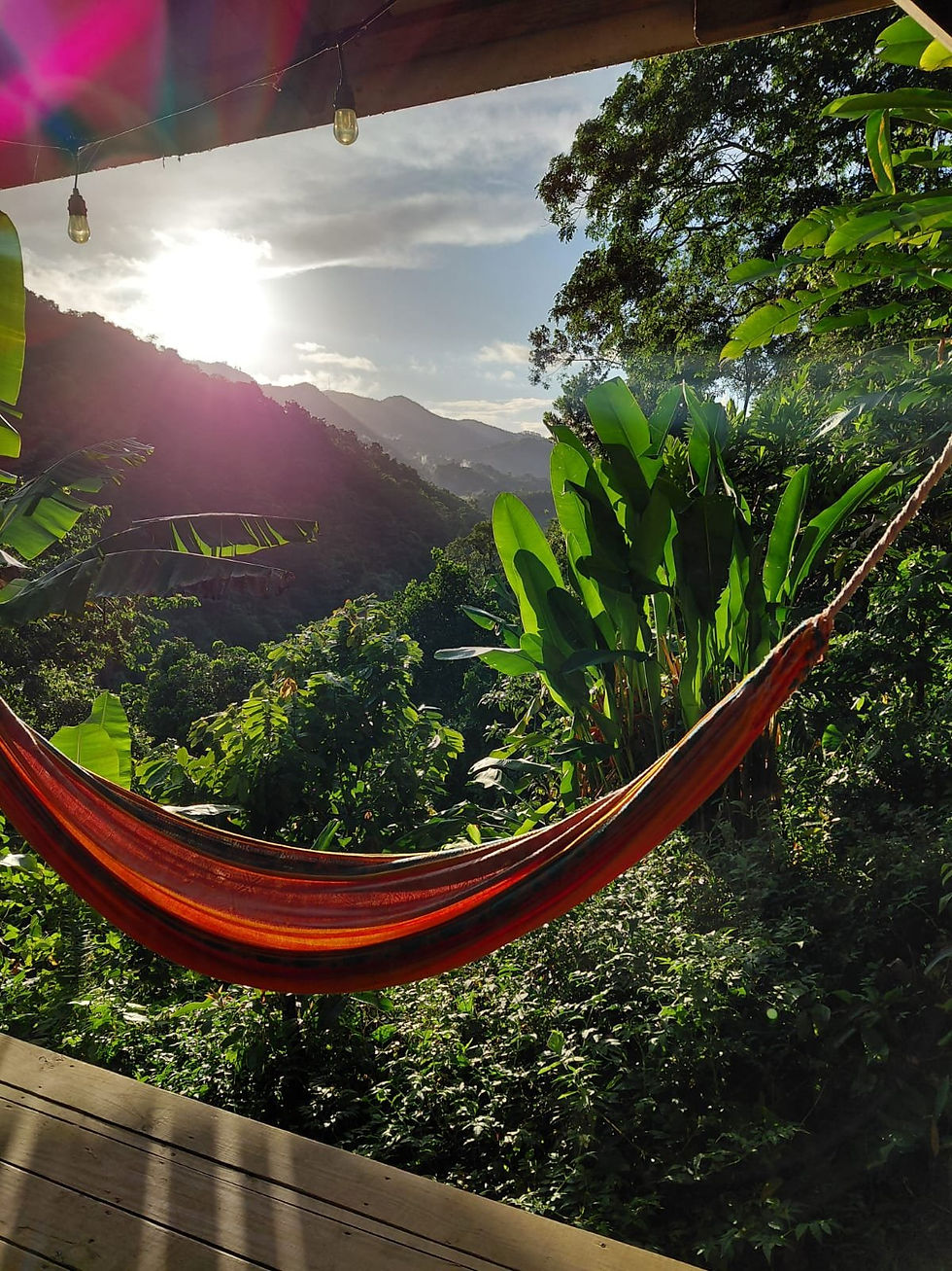 Hamaca con vista a las montañas