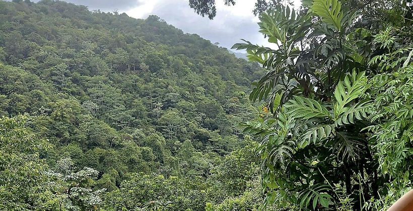 Montañas de Utuado