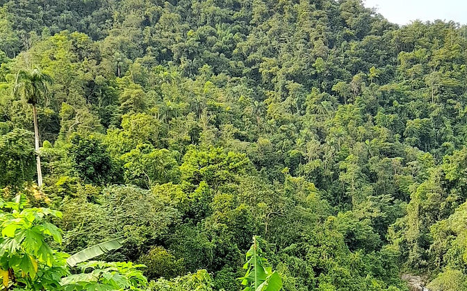 Las montañas de Utuado desde la finca