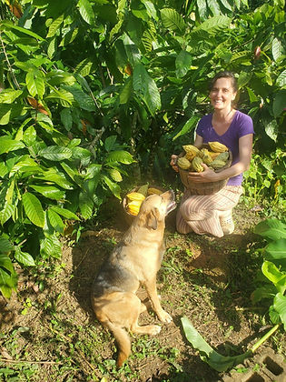 Cacao en la finca