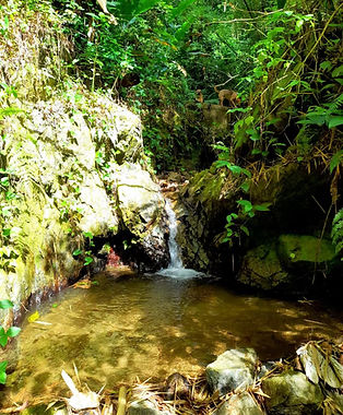 La cascada de la quebrada, a pocos pasos de la finca
