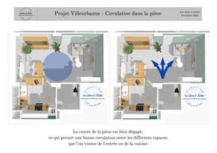 VILLEURBANNE - Proposition 2 - Circulation.png