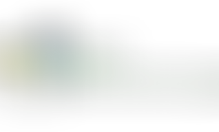 BUC Brasil União Cargo