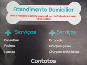 Danilo Busse Spironelli