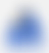 Delta Terminais Container