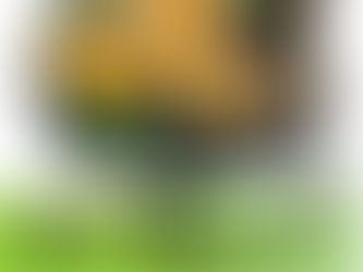 CLASSIC WAGEN in 天栄