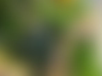 Meal Prep Gastronomy: Zuppa Tuscanini, Nomad Style!