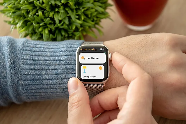 Home Status on Apple Watch.webp