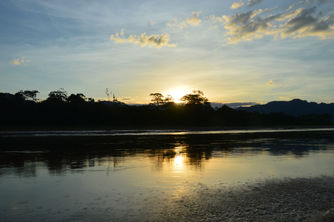 reflexiones // reflections
