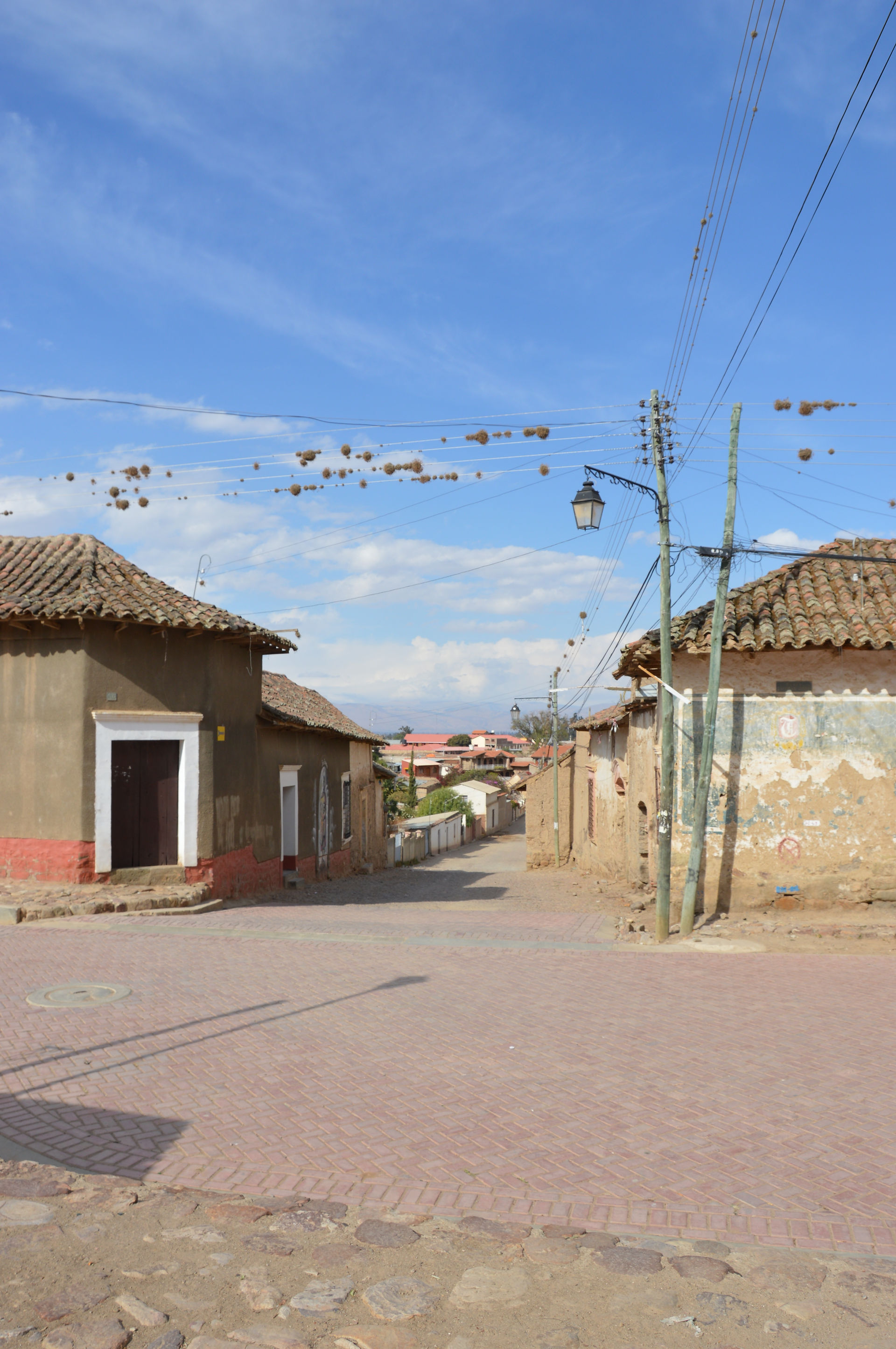 Tarata