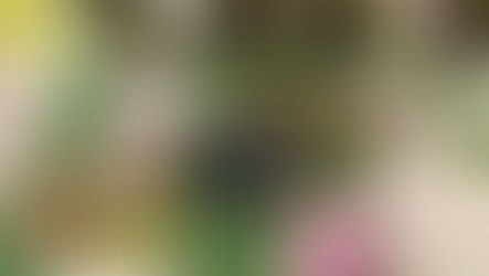 Our first Biodiversity Day!