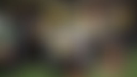 Volunteering at the Islington Climate Centre