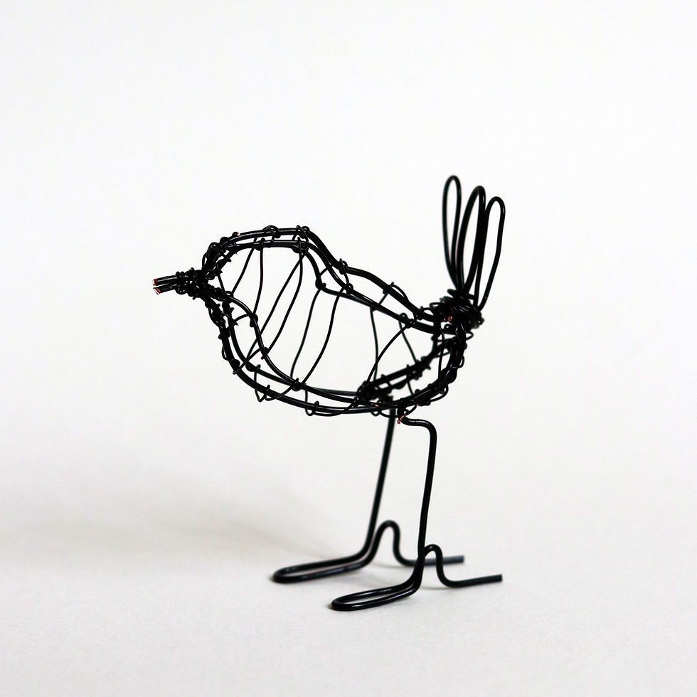 Thumbnail: Detail pic from the Wire Bird Sculptures video workshop by craft expert Zak Mclaughlin