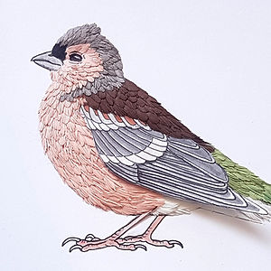 CraftyMonkies Zack Mclaughlin Online Interactive Workshop: How To Make A 2D Paper Bird!