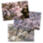 Thumbnail: Images: 2022 - Set 08