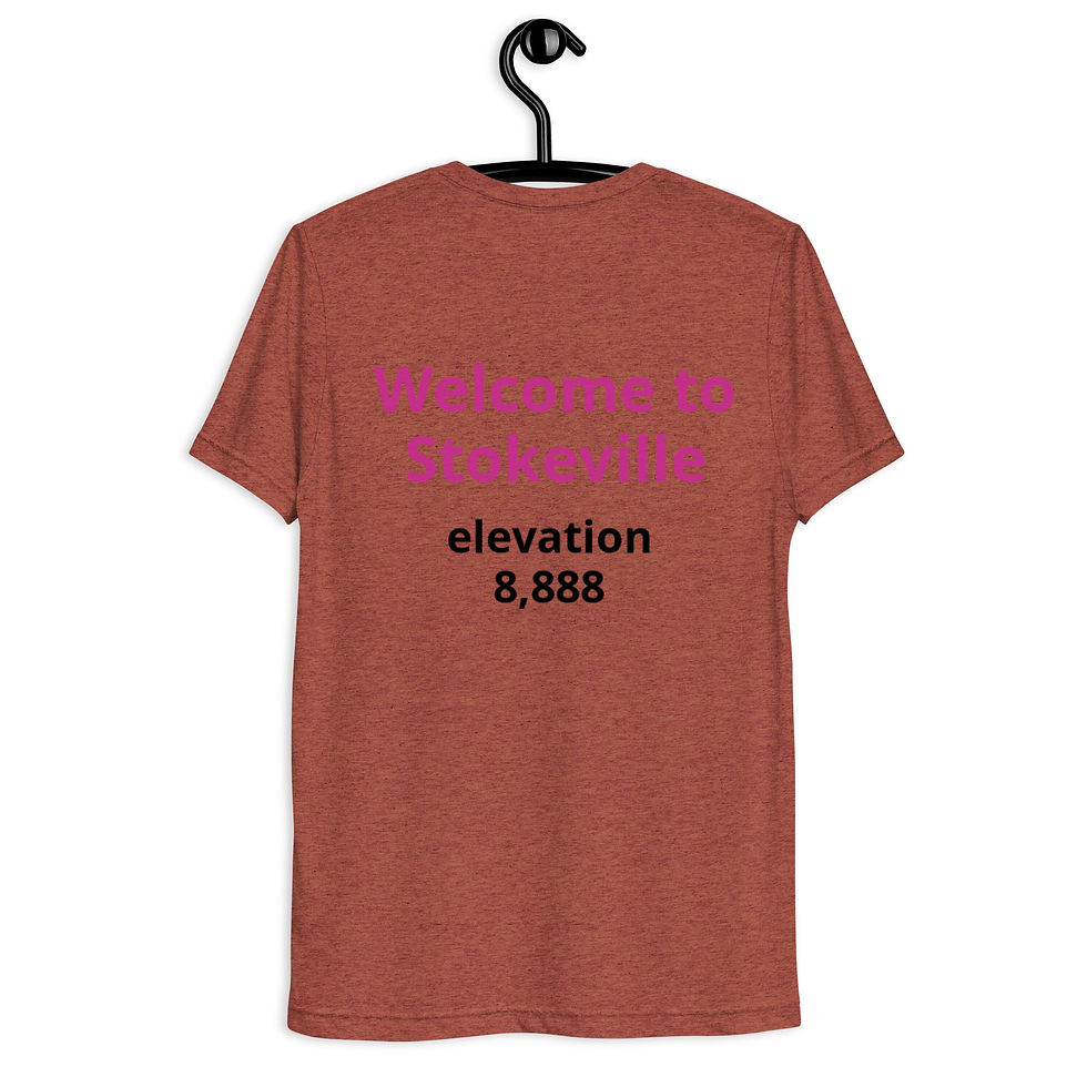 Thumbnail: Short sleeve t-shirt Welcome to Stokeville