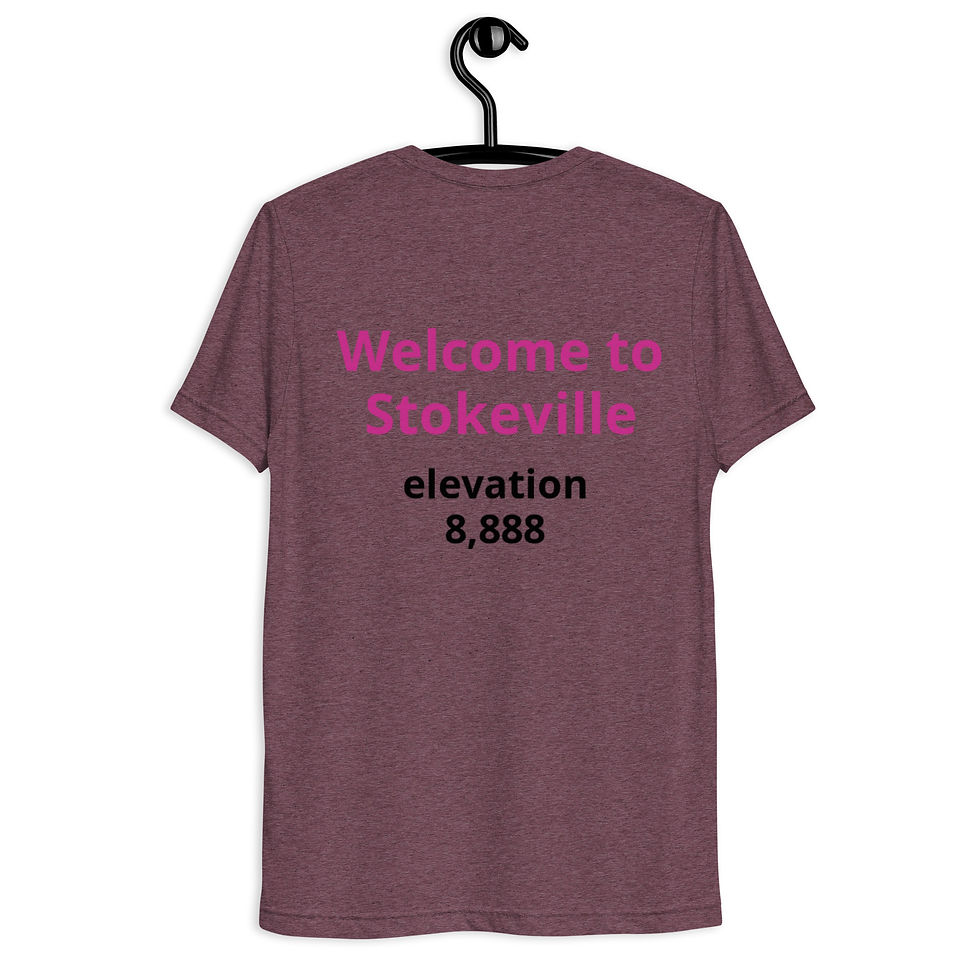Thumbnail: Short sleeve t-shirt Welcome to Stokeville