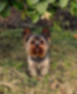 fullsizeoutput_16a9.jpeg