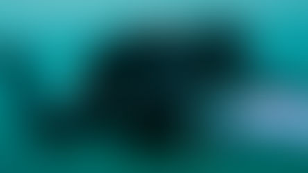 Meistere die Schwerelosigkeit: Deine neuen Guides für perfektes Tauchen