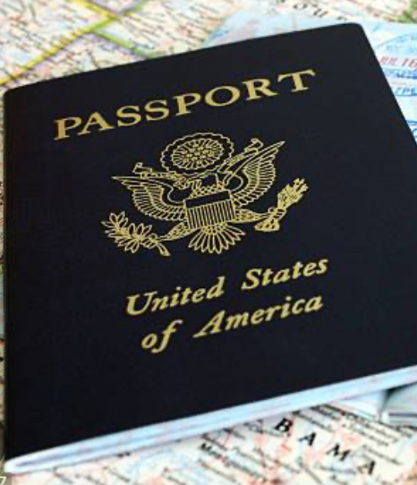 Passport Book