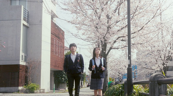 桜並木_edited.jpg