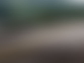 다리 너머에서, 우리는 먼저 인사하고 싶었습니다