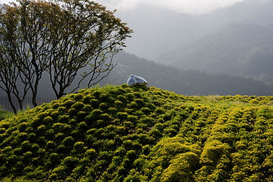 제목 없음-210.jpg