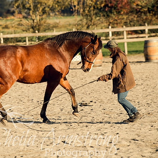 45282959_1892859800831669_10177956659016